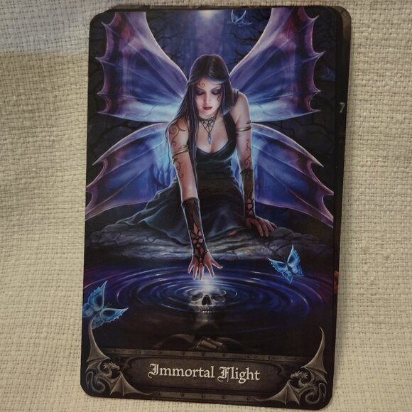 Gothic Oracle - Picture 11 of 11